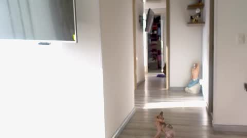 Snapshot of adan_eva960 chatting on 09.10.25 eva online show from 09.10.25