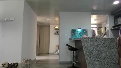 eva online show from 02.27.26