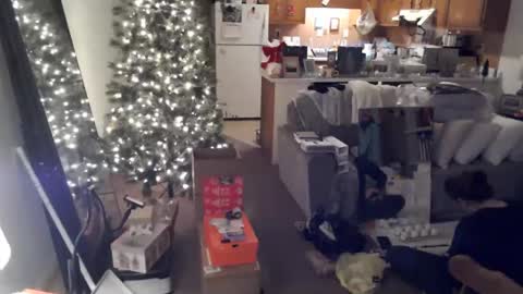 Snapshot of adorable22 chatting on 12.20.24 adorable22 online show from 12.20.24