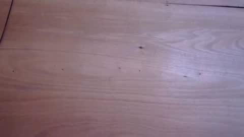 jasmine cum for u online show from 08.02.26