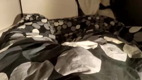 Snapshot of adrisex2002 chatting on 12.28.24 adrisex2002 online show from 12.28.24