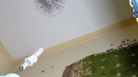 jackline online show from 02.07.26