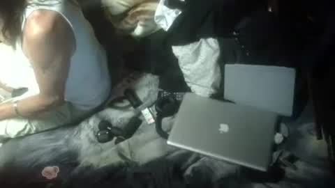 agtanimal online show from 07.20.26