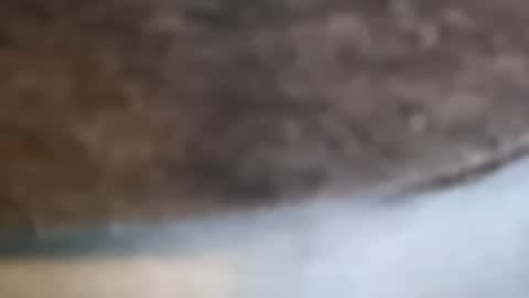 aj297914 online show from 02.17.26