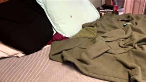 ajb5187517 online show from 01.05.26