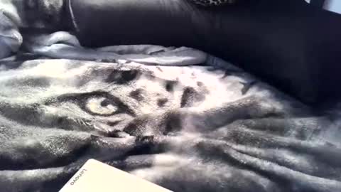 aken4it online show from 04.02.26