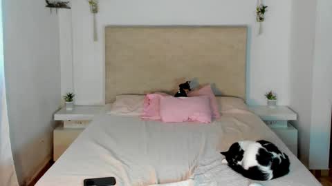 Snapshot of alana__get chatting on 03.20.26 online show from 03.20.26