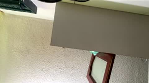 isabella online show from 02.26.26