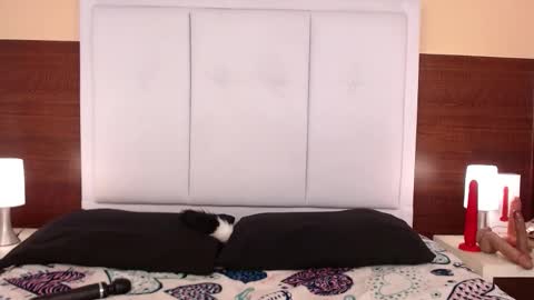 alana online show from 10.25.25