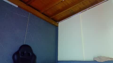 Snapshot of alanferrer chatting on 03.09.26 Alan Ferrer online show from 03.09.26