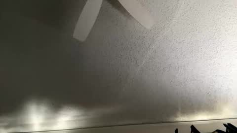 Dinky online show from 01.07.26