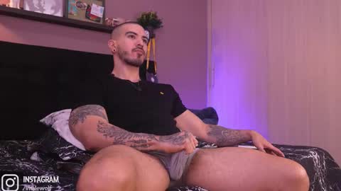 Snapshot of alejo_wolf chatting on 02.10.26 Alejo online show from 02.10.26