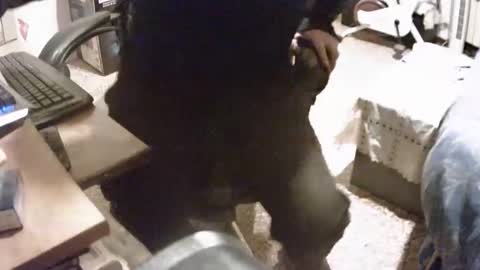 Snapshot of alex81pv1981 chatting on 12.08.24 alex81pv1981 online show from 12.08.24