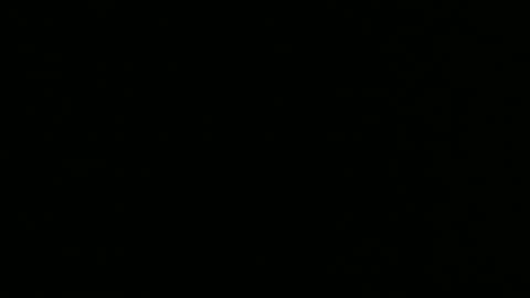 alex online show from 12.26.24