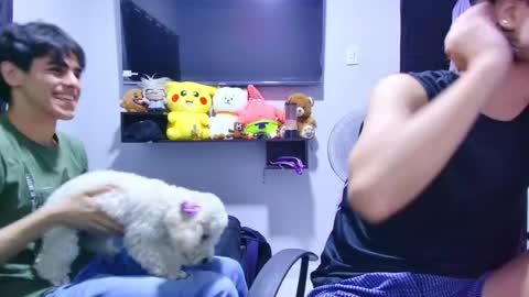 sneider online show from 02.08.26