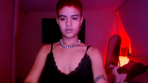 Alex online show from 07.14.26