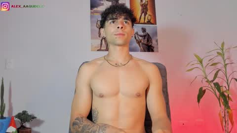 x   online show from 02.20.26