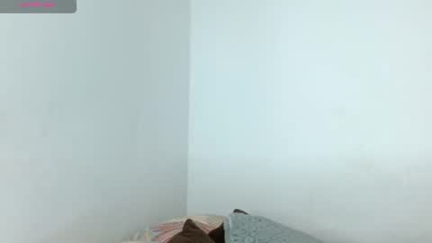   online show from 06.14.26