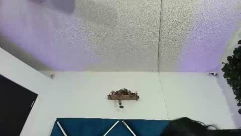 Alexa online show from 06.13.26