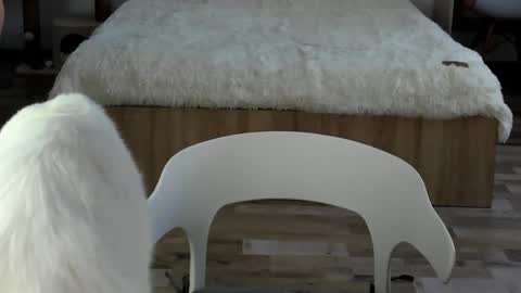 Alex online show from 02.19.26