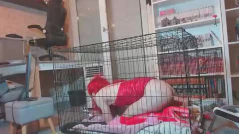 Snapshot of alexas_owned_bitch chatting on 05.30.26 alexas_owned_bitch online show from 05.30.26