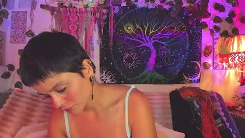 Alex online show from 04.25.26