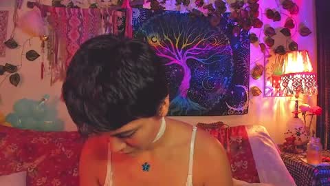 Alex online show from 06.08.26