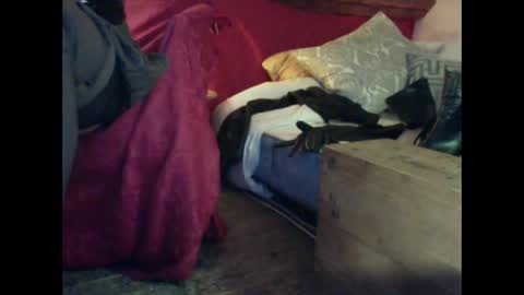 Snapshot of alexischat chatting on 09.25.25 alexischat online show from 09.25.25