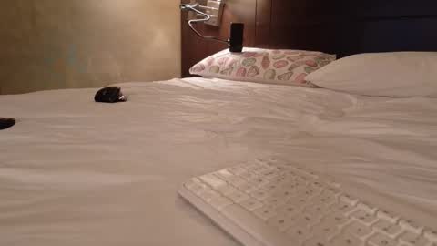 Snapshot of aliasalien008 chatting on 02.15.26 Daddy Girls online show from 02.15.26