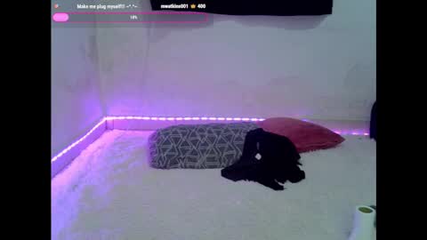 Alicia Axiom online show from 01.13.25