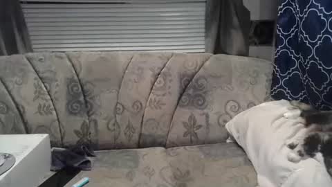 Alisha online show from 07.22.26