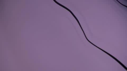 alison smith online show from 12.05.24