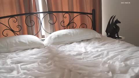 Alissa online show from 02.19.25