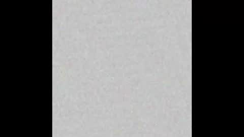 Alisse online show from 02.16.26