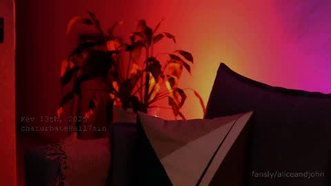 Snapshot of all7sin chatting on 02.13.25 Alice John online show from 02.13.25