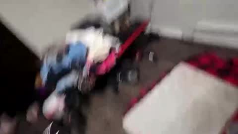 alldickandass11 online show from 02.10.26