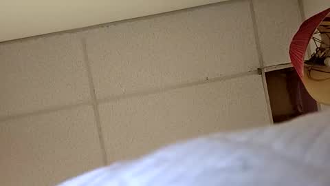 alldickandass11 online show from 02.24.26