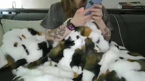 Snapshot of alliebearx chatting on 04.28.26 alliebearx online show from 04.28.26
