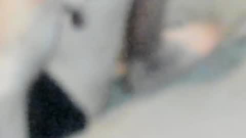 allways395 online show from 10.25.25