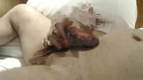 Snapshot of allwaysrdy7272 chatting on 01.29.25 Frank online show from 01.29.25