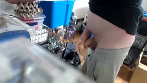 allwolf0323 online show from 04.14.26