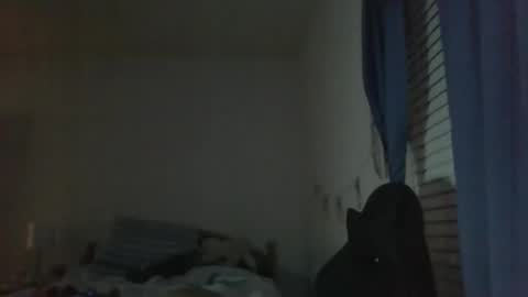 Snapshot of ally12334 chatting on 10.25.25 ally12334 online show from 10.25.25