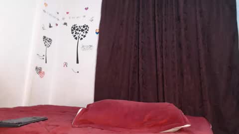 Snapshot of allyka_transsm chatting on 02.04.26 Allyka online show from 02.04.26