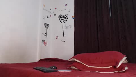 Snapshot of allyka_transsm chatting on 02.14.26 Allyka online show from 02.14.26