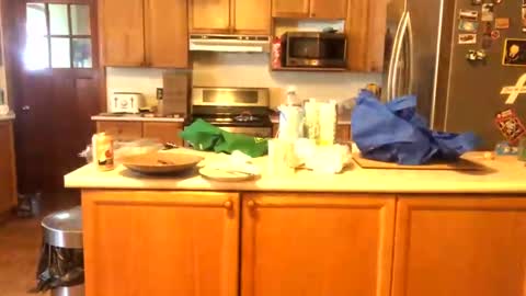 Alvie online show from 01.26.25