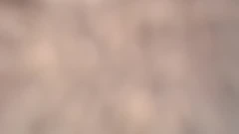 valentia online show from 03.06.26