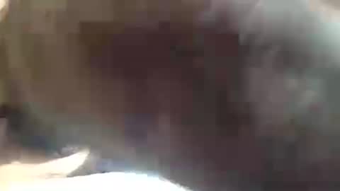 amandapanda1 online show from 07.19.26
