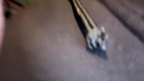 Jamesy online show from 01.17.25