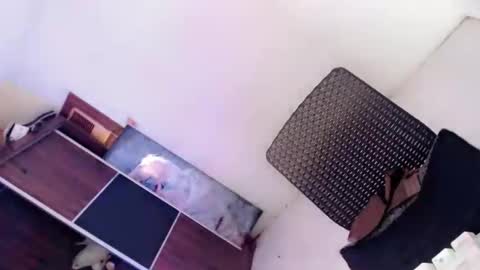 Amaya online show from 10.08.25