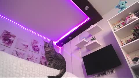 Snapshot of amazing_agness chatting on 02.23.25 amazing_agness online show from 02.23.25